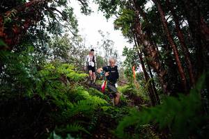 BIB: 
                            <button type="button" onclick="openModal(26204061)" class="btn btn-primary btn-sm float-right btn-popup" data-toggle="modal" data-target=".modal-high-quality">
                        <i class="fas fa-shopping-cart"></i> Add to Cart
                    </button>
                                            <button type="button" onclick="isThisMe(26204061, true)" class="btn btn-success btn-sm float-right btn-popup btn-isme hidden" data-toggle="tooltip" data-placement="bottom" title="นี่คือรูปของคุณใช่ไหม คลิกที่นี่เพื่อเอาเข้าอัลบั้ม">
                        <i class="fas fa-plus"></i> Add to album
                    </button>
                    <button type="button" onclick="isThisMe(26204061, false)" class="btn btn-warning btn-sm float-right btn-popup btn-isnotme hidden">
                        <i class="fas fa-ban"></i> Remove from album
                    </button>